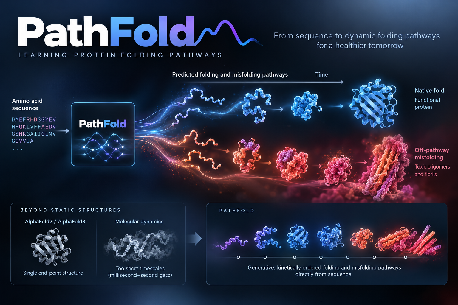 PathFold - Language Modelling for Protein (Mis-)Folding Pathway Dynamics